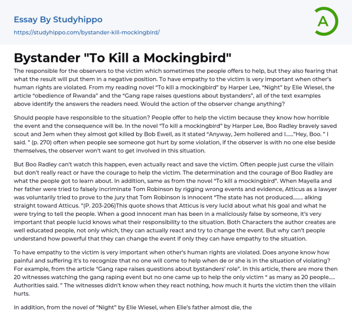 To kill a mockingbird essay questions