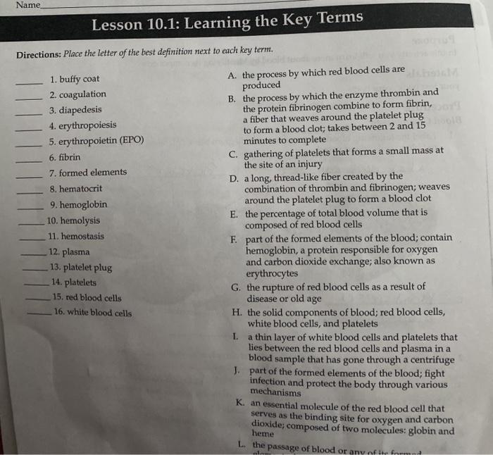 Lesson 13.1 learning the key terms