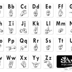 Asl flashcards