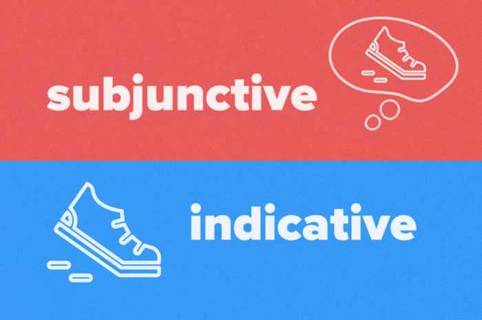 Vs indicative subjunctive practice