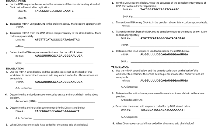 Genetic code worksheet answer key