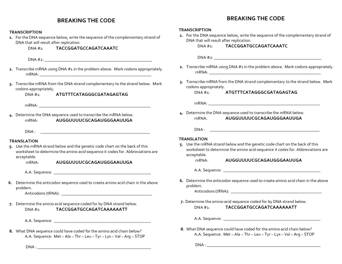 Genetic code worksheet answer key