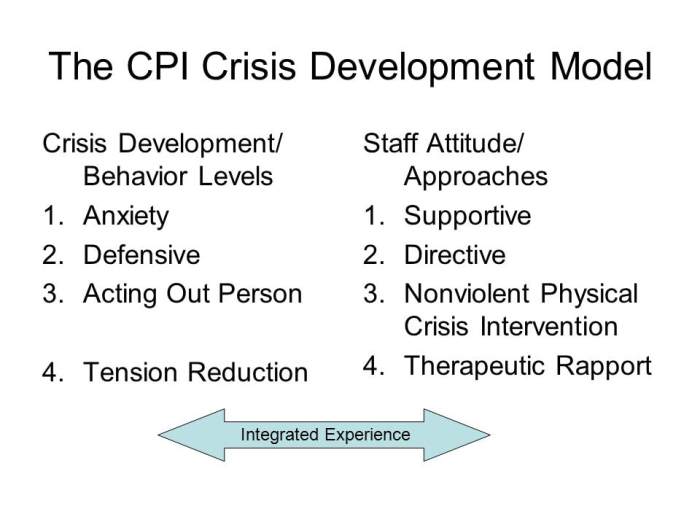 Directive staff approach cpi behavior level